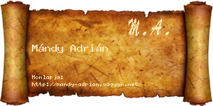 Mándy Adrián névjegykártya